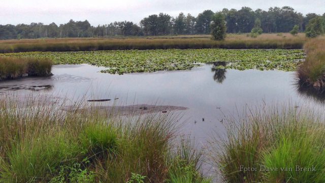 Boxtel – Oisterwijk (10)