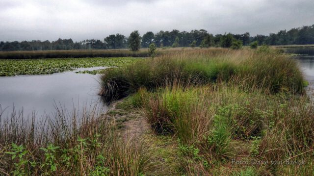 Boxtel – Oisterwijk (12)