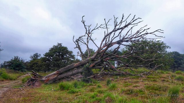 Boxtel – Oisterwijk (14)