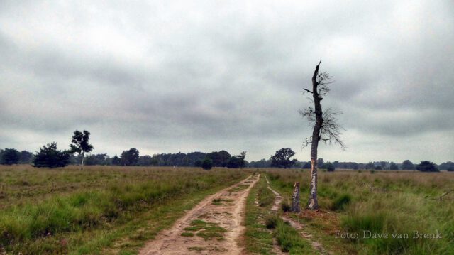Boxtel – Oisterwijk (15)
