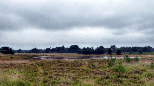 Boxtel – Oisterwijk (16)