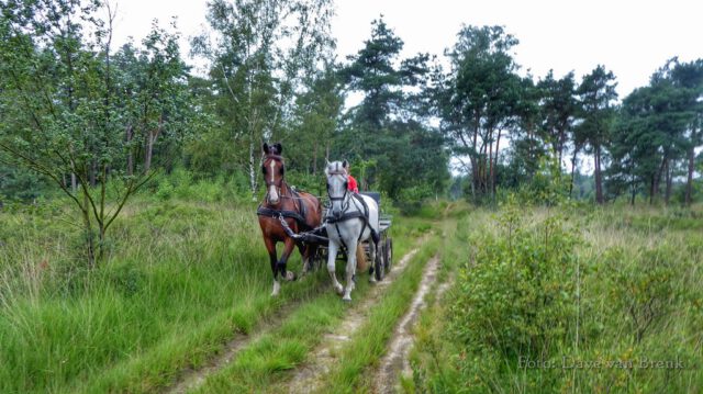 Boxtel – Oisterwijk (19)
