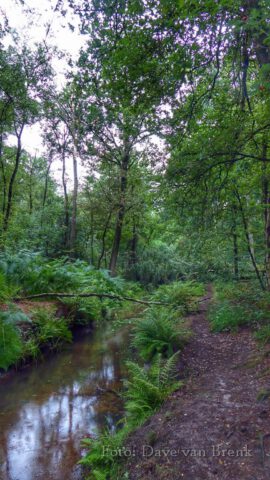 Boxtel – Oisterwijk (20)