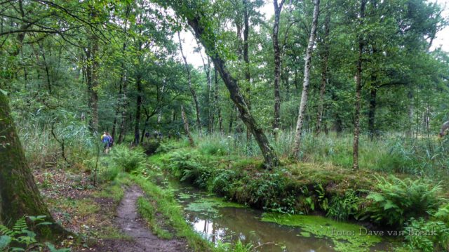 Boxtel – Oisterwijk (21)