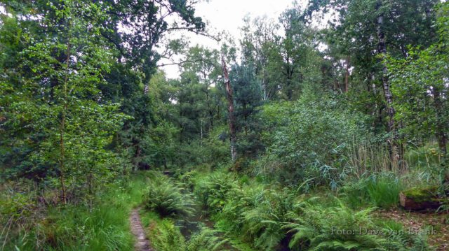 Boxtel – Oisterwijk (22)