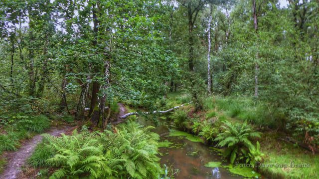 Boxtel – Oisterwijk (23)