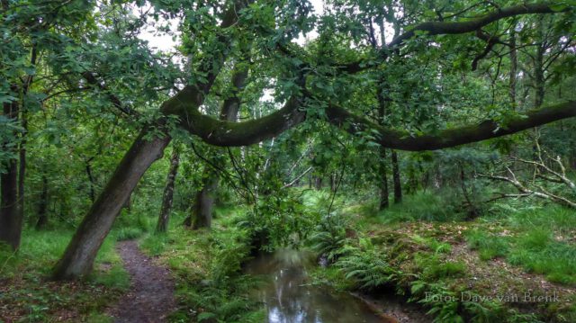 Boxtel – Oisterwijk (24)