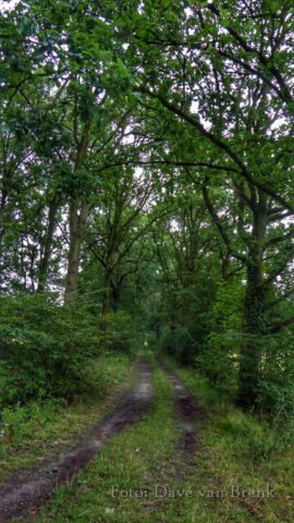 Boxtel – Oisterwijk (27)