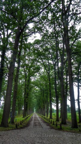 Boxtel – Oisterwijk (31)