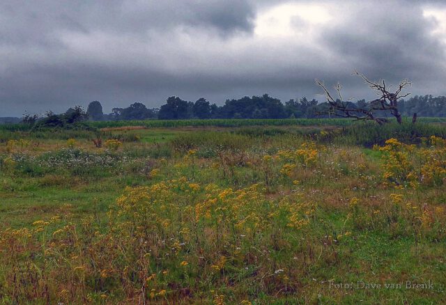 Boxtel – Oisterwijk (5)