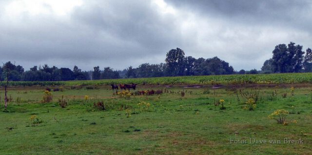 Boxtel – Oisterwijk (6)