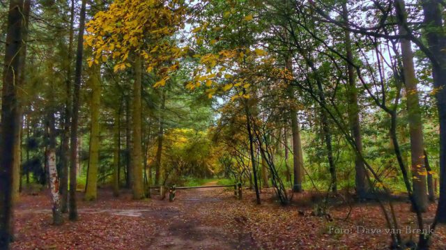 Boxtel – Oisterwijk (7)