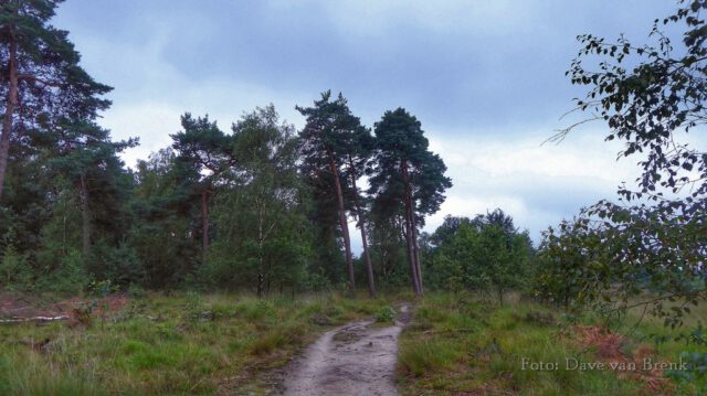 Boxtel – Oisterwijk (8)