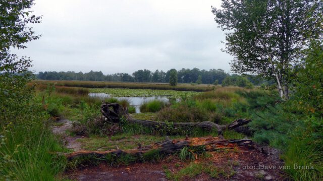 Boxtel – Oisterwijk (9)